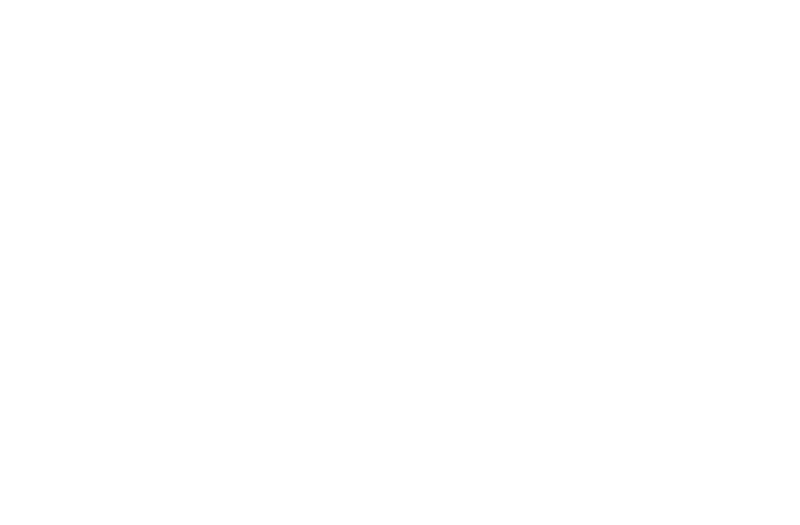 AMF 2021